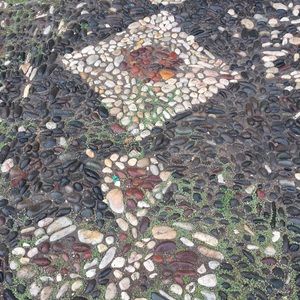 Meet your Posher, Lesley